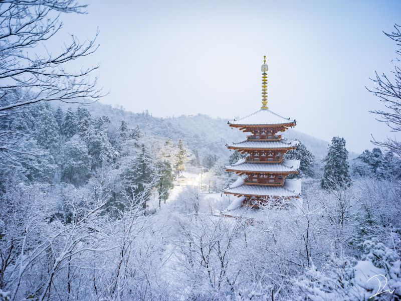 Đền Thần đạo mùa đông